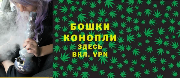 ГАЛЛЮЦИНОГЕННЫЕ ГРИБЫ Арсеньев
