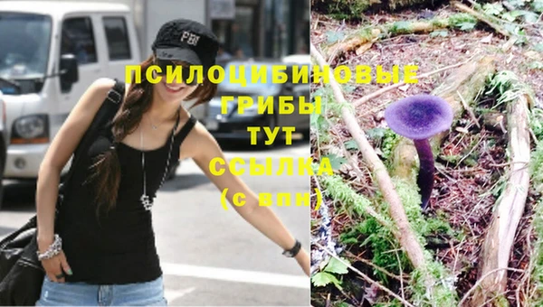 ГАЛЛЮЦИНОГЕННЫЕ ГРИБЫ Арсеньев