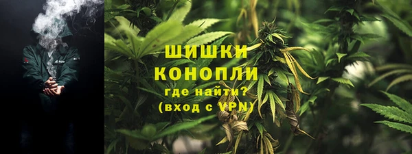 ГАЛЛЮЦИНОГЕННЫЕ ГРИБЫ Арсеньев