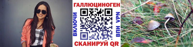 Галлюциногенные грибы GOLDEN TEACHER  Спас-Клепики 
